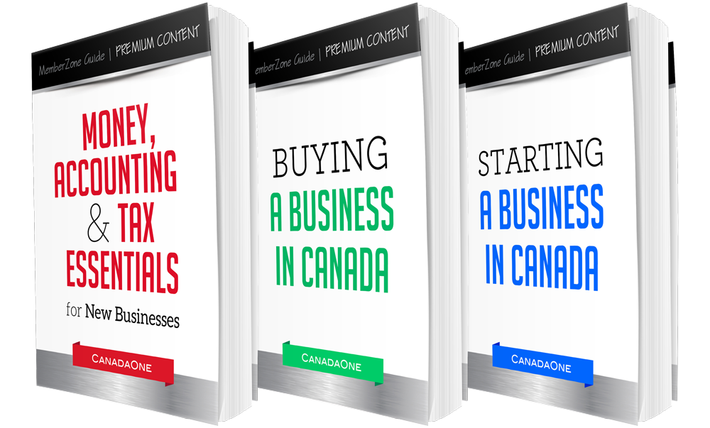 Premium Digital Business Books